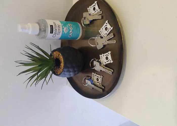 Easo Suits Family Friends + Parking